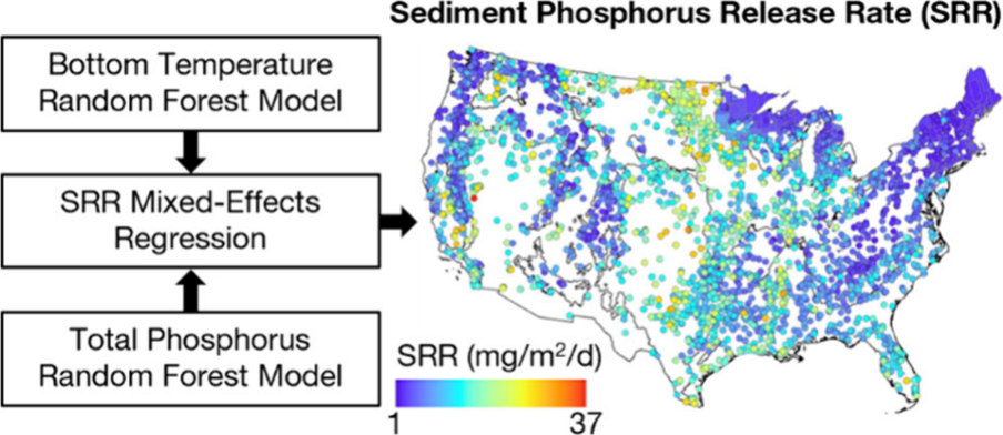 Hybrid modeling framework and predicted summer sediment phosphorus release rates across the contiguous US